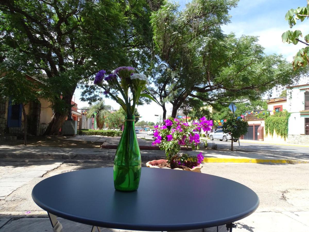 Alojamiento Jalatlaco - Car Rental! Estacionamiento En La Calle Sujeto A Disponibilidad Oaxaca Luaran gambar